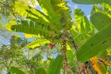 4685 Uakea Rd - Photo 44