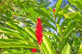 4685 Uakea Rd - Photo 49
