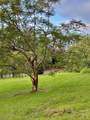 2400 Piiholo Rd - Photo 14