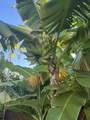 15 Laukahi St - Photo 46