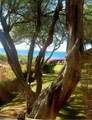 100 Lio Pl - Photo 22