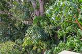 6 Kahope Pl - Photo 46
