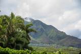 20 Pu'ukai Pl - Photo 50