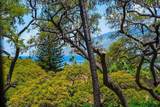 2191 Kihei Rd - Photo 2