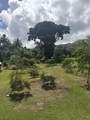 315 Uwala Rd - Photo 25