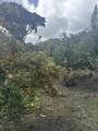 315 Uwala Rd - Photo 29