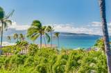 8 Kapalua Pl - Photo 41