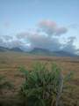 536B Lahainaluna Rd - Photo 11