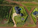 3251 Aina Mahiai Pl - Photo 47