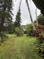 105 Acres Hana Hwy - Photo 8