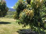 0 Kaupo Rd - Photo 22