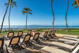 145 Kihei Rd - Photo 6