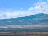 101 Kiha Pl - Photo 19