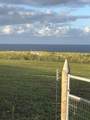 2865 Hana Hwy - Photo 10