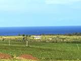 2865 Hana Hwy - Photo 3