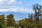 1365 Piiholo Rd - Photo 3