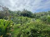 725 Nahiku Rd - Photo 6