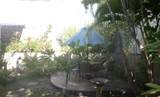 2136 Konou Pl - Photo 17