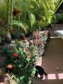 15 Laukahi St - Photo 49