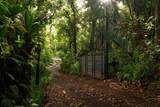 715 Honokala Rd - Photo 2