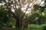 715 Honokala Rd - Photo 4