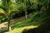 715 Honokala Rd - Photo 5