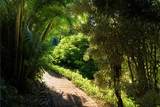 715 Honokala Rd - Photo 6