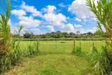 2865 Hana Hwy - Photo 28