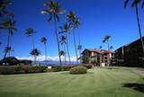3543 Lower Honoapiilani Rd - Photo 38
