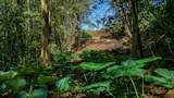 2762 Hana Hwy - Photo 11