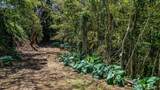 2762 Hana Hwy - Photo 6