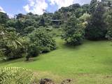 725 Nahiku Rd - Photo 5