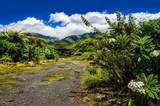 1270 Piihana Rd - Photo 8
