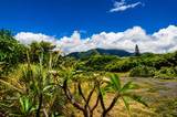 1270 Piihana Rd - Photo 9