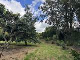 24 Waokele Pl - Photo 22