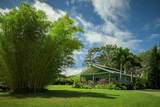 1949 Kuiaha Rd - Photo 28