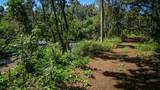 2762 Hana Hwy - Photo 13