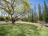 437 Hau Dr - Photo 8