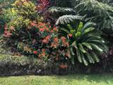 725 Nahiku Rd - Photo 13