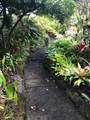 725 Nahiku Rd - Photo 3