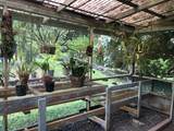 725 Nahiku Rd - Photo 8