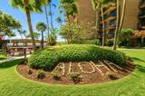 938 S Kihei Rd - Photo 30