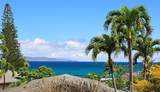 5045 Lower Honoapiilani Rd - Photo 3