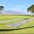 938 Kihei Rd - Photo 29