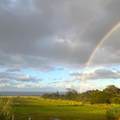 2865 Hana Hwy - Photo 13