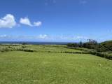 2865 Hana Hwy - Photo 6