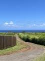 2865 Hana Hwy - Photo 11