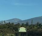 2865 Hana Hwy - Photo 8
