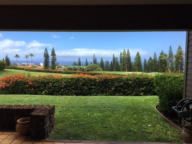 50 Puu Anoano St - Photo 1