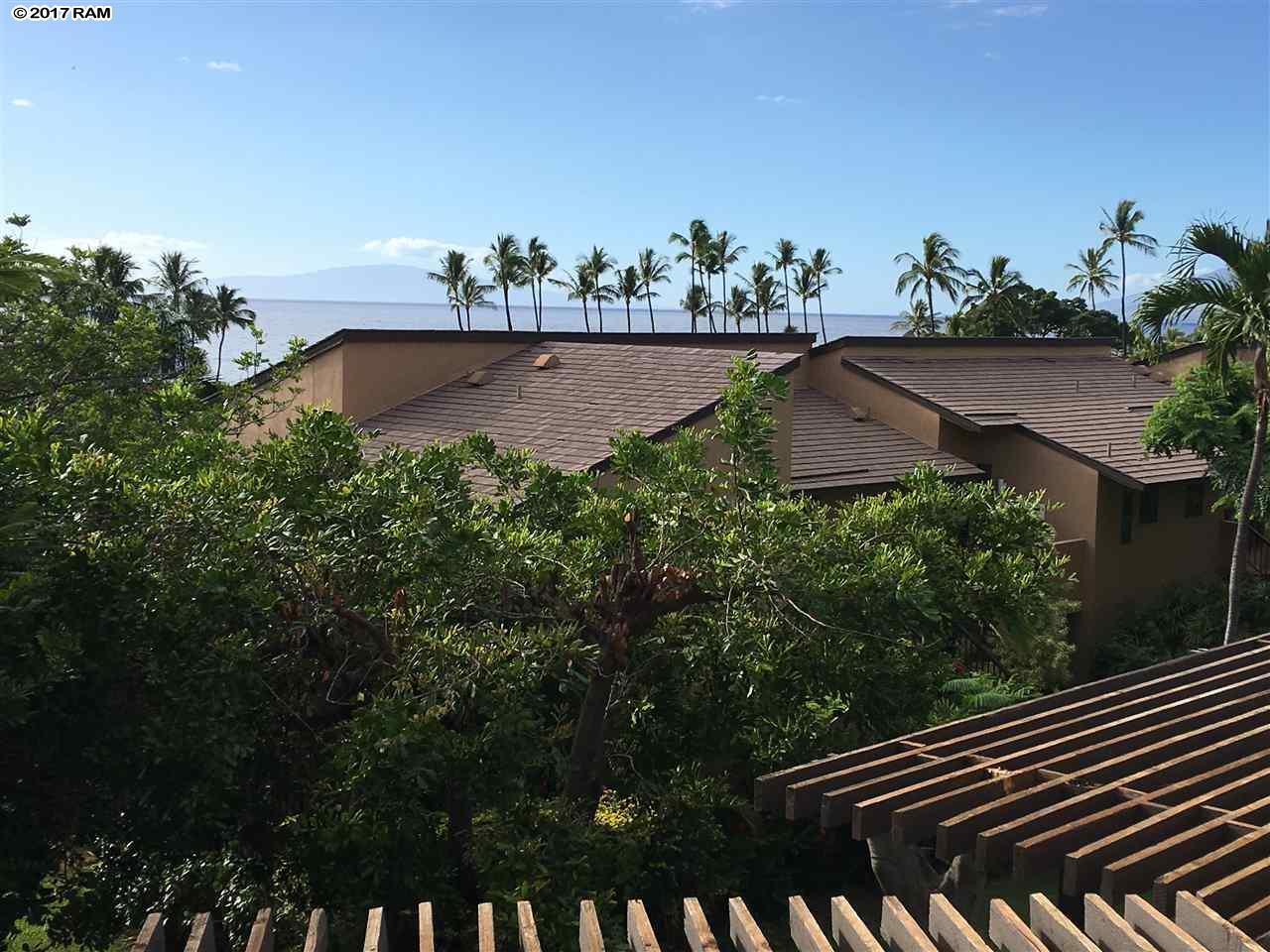 3300 Wailea Alanui Pl - Photo 1